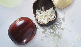 Aleurites Moluccana (Kukui) Seed Oil