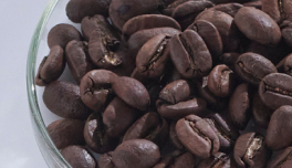 Coffea Arabica (Coffee) Seed Oil