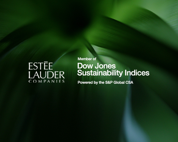 ELC Dow Jones