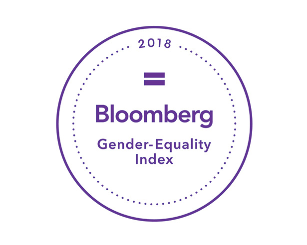 Gender-Equality Index Logo