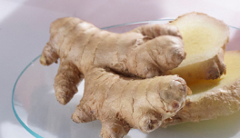 Kaempferia Galanga Root Extract