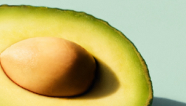 Persea Gratissima (Avocado) Oil