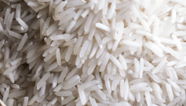 Rice